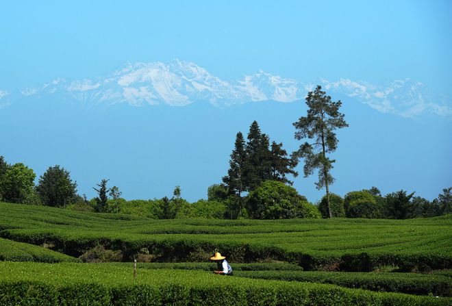 重磅！田园生态商务区共享办公人才招募开始啦！(图8)