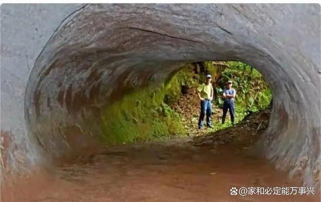 23张罕见图片被铁棒插穿头骨后竟奇迹般地存活了下来(图1)