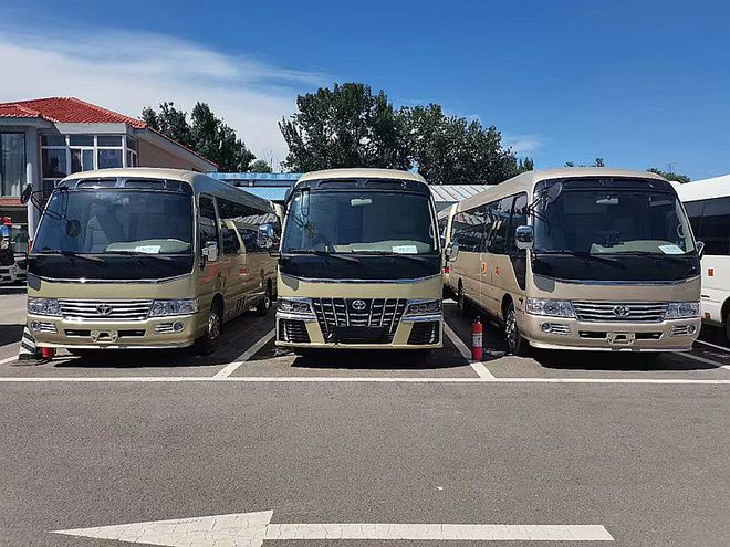考斯特豪华商务版价格丰田考斯特多少钱一辆(图1)